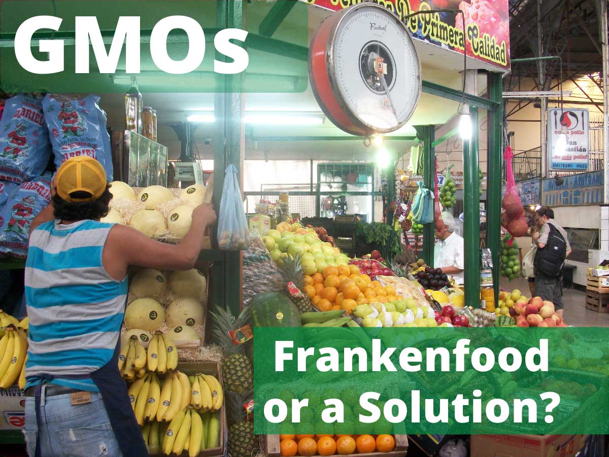 Vegetable stand with words GMOs Frankenfood or Solution